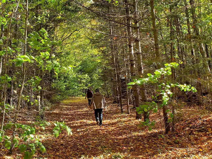 Camper-submitted photo at Mckeever Cabin near Eben Junction, MI