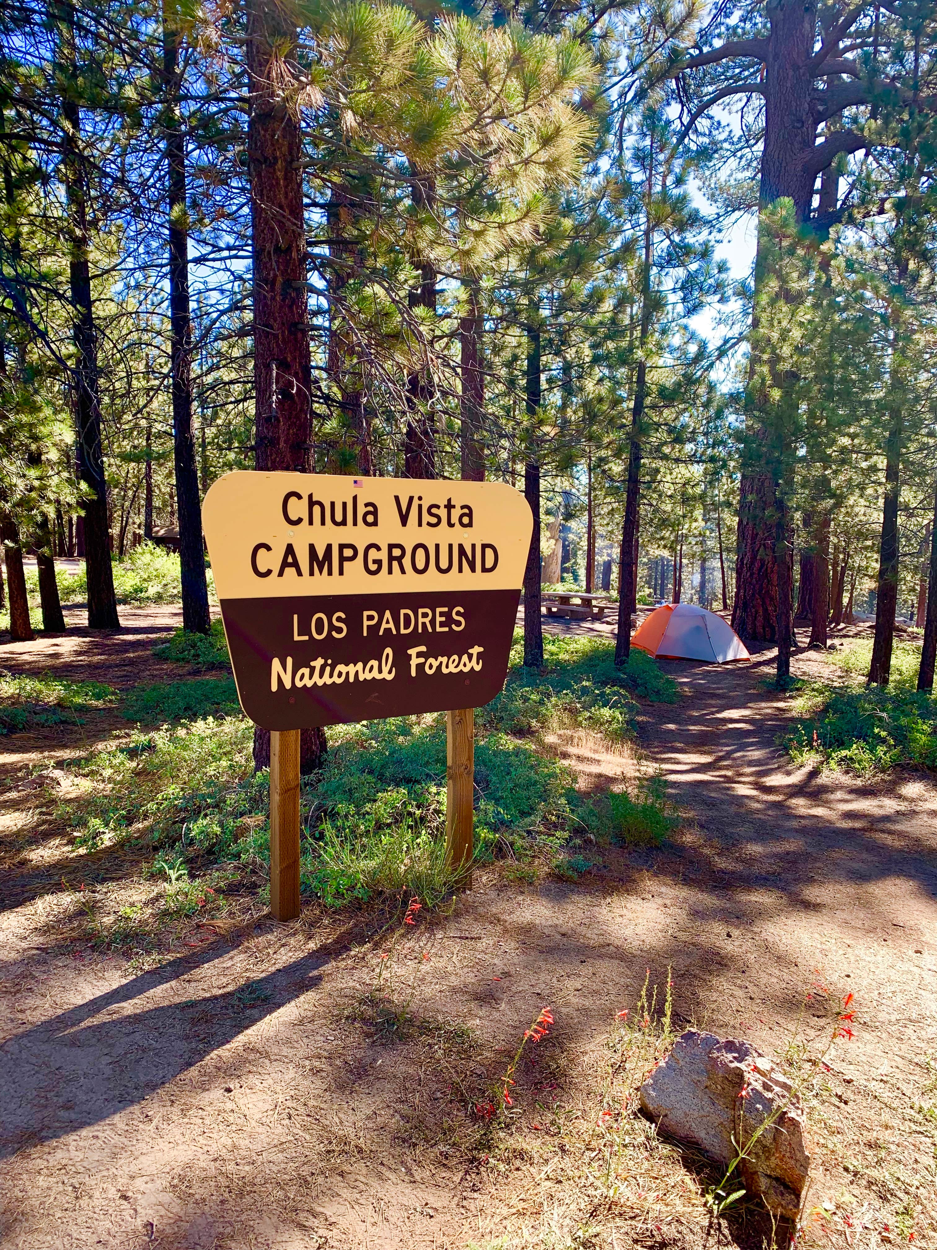 Antonio  C.'s photo at Chula Vista Campground at Mt. Pinos near Frazier Park, CA