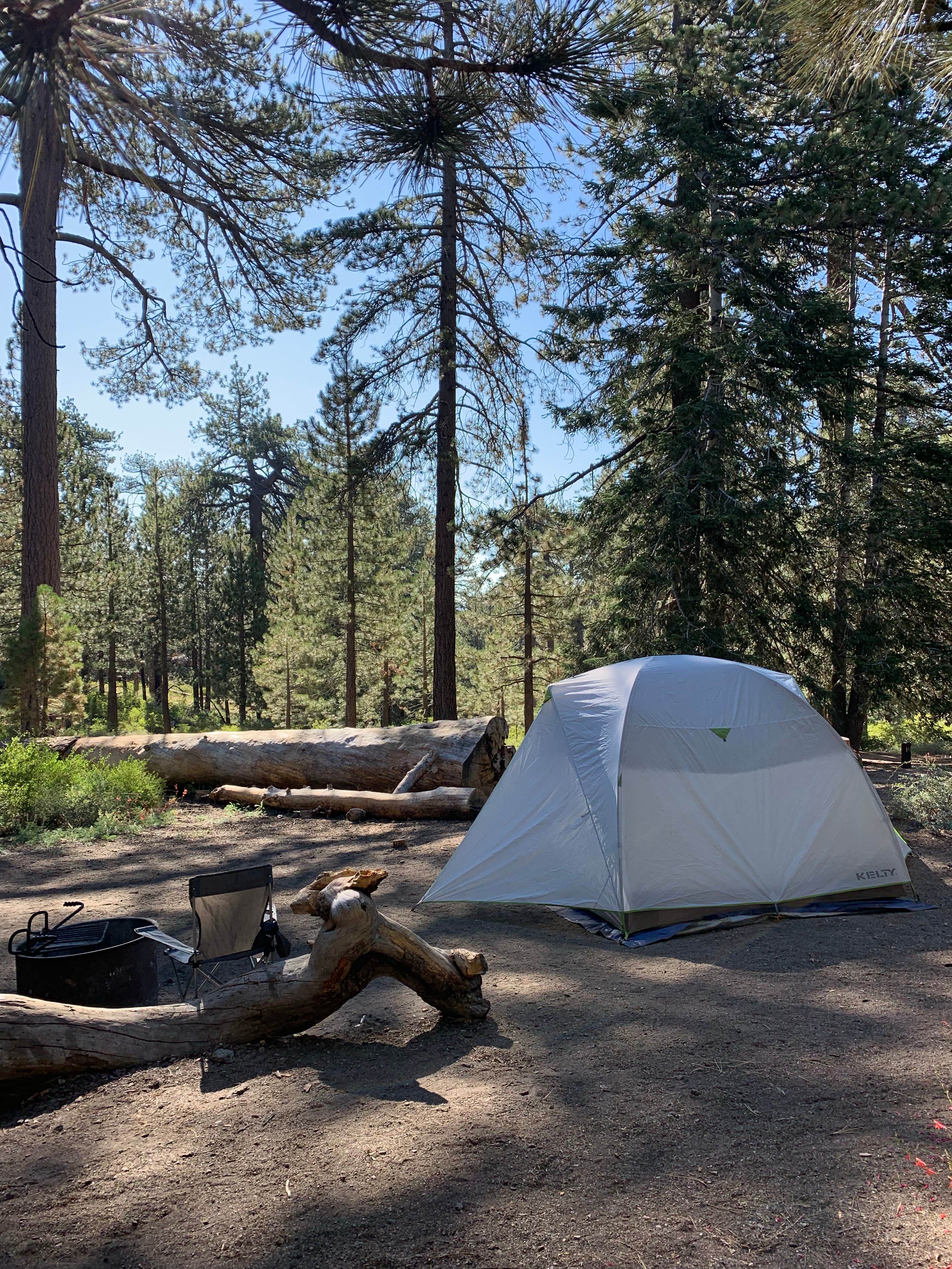 Camper-submitted photo at Chula Vista Campground at Mt. Pinos near Frazier Park, CA