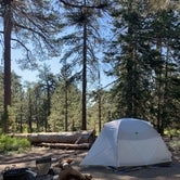 Review photo of Chula Vista Campground at Mt. Pinos by Antonio  C., August 30, 2019