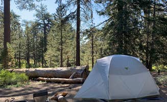 Antonio C.'s photo of tent camping at Chula Vista Campground at Mt. Pinos near Tehachapi, CA