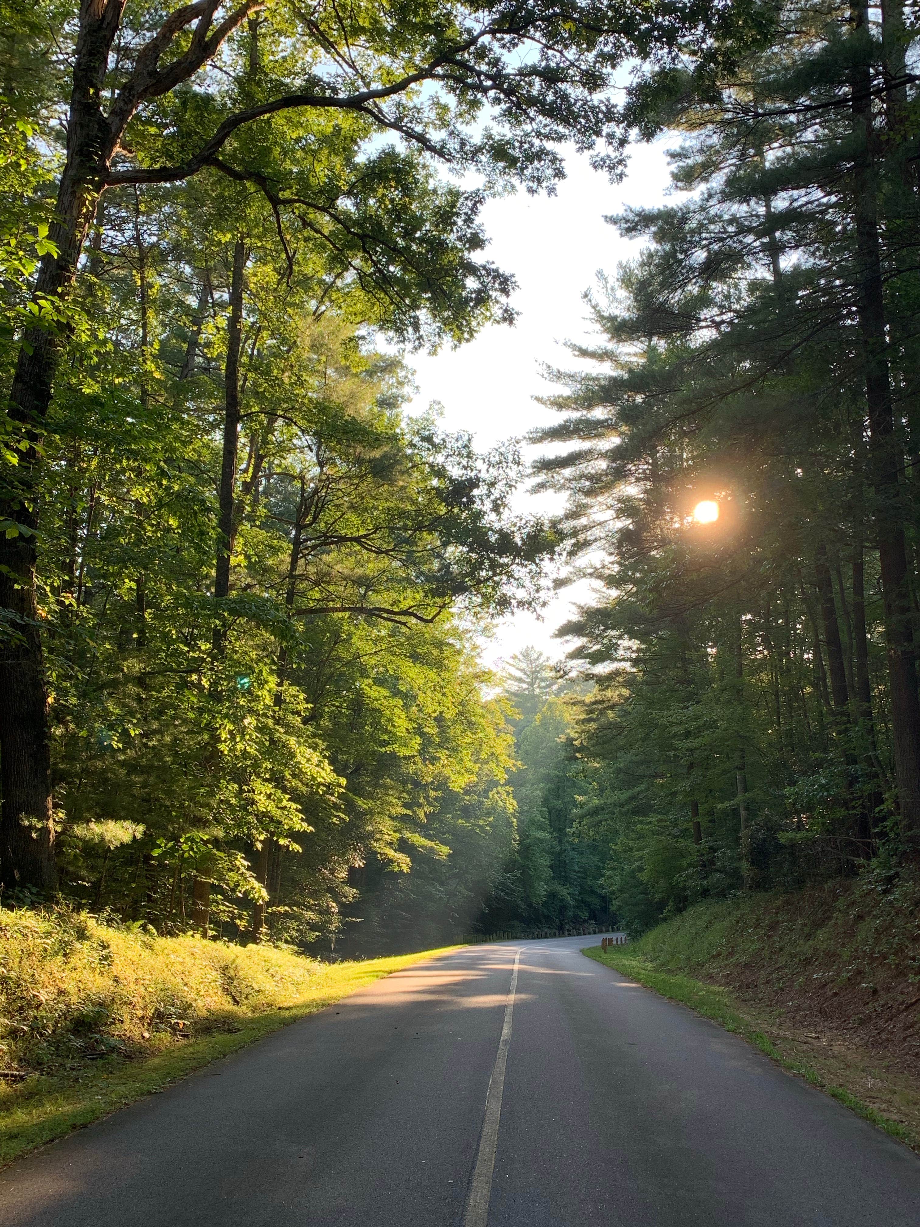 Camper-submitted photo at Warrior Creek near Wilkesboro, NC