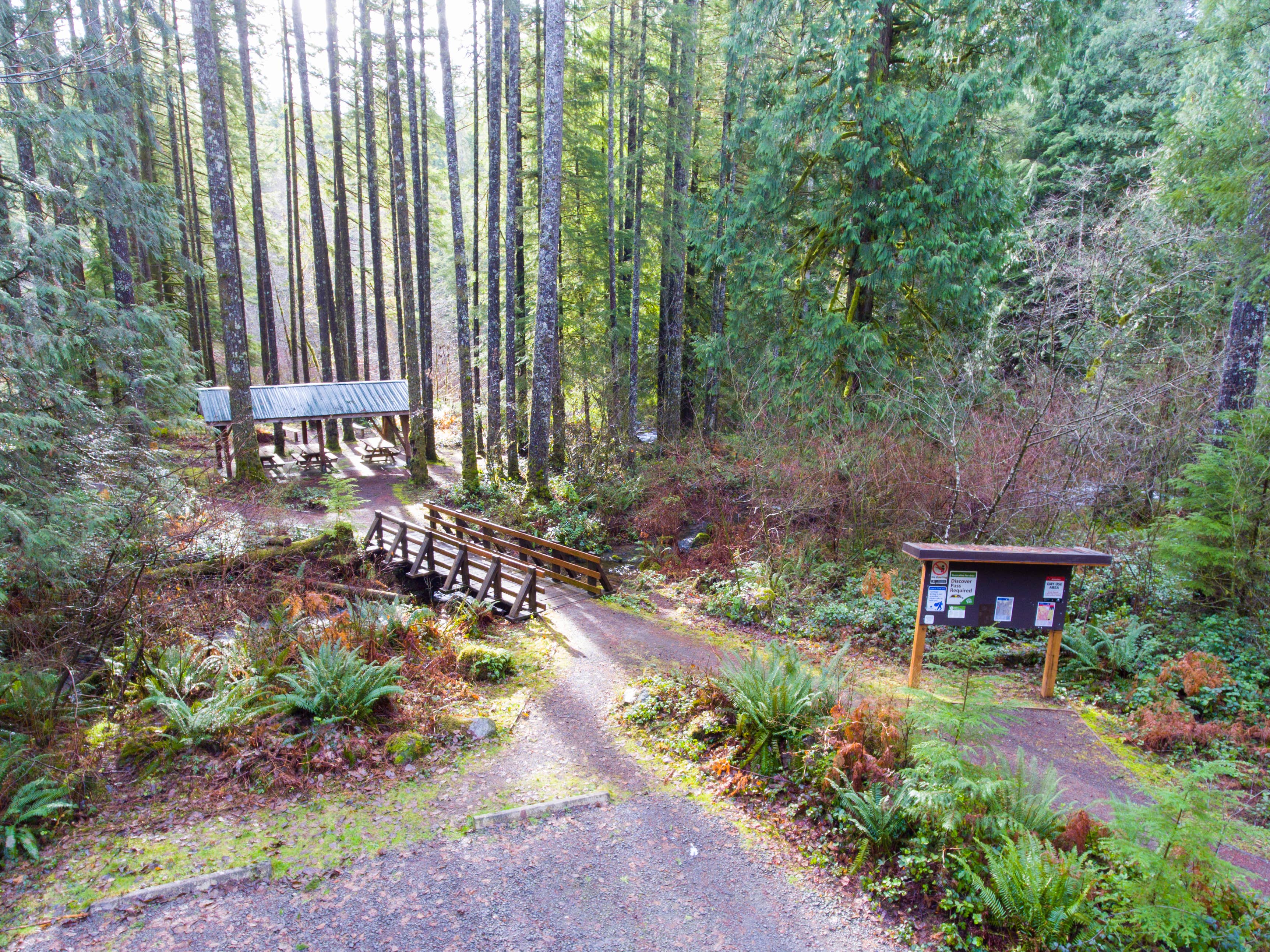 Camping near Battle Ground Lake State Park Campground: Cold Creek Campground, Yacolt, Washington