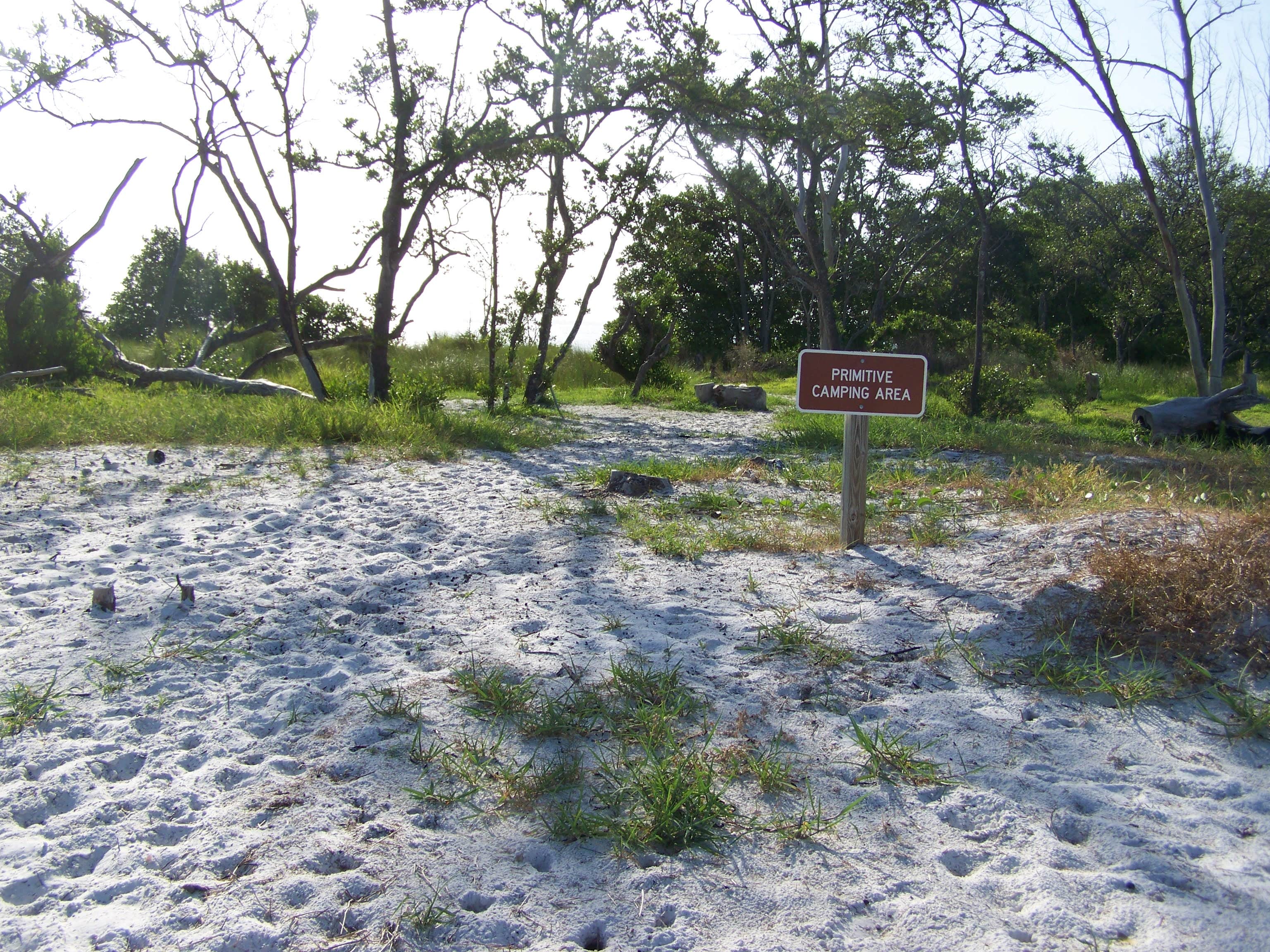 Camper submitted image from Anclote Key Preserve State Park Campground - 3