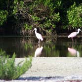 Review photo of Anclote Key Preserve State Park Campground by Jeanene A., August 30, 2019