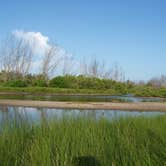 Review photo of Anclote Key Preserve State Park Campground by Jeanene A., August 30, 2019