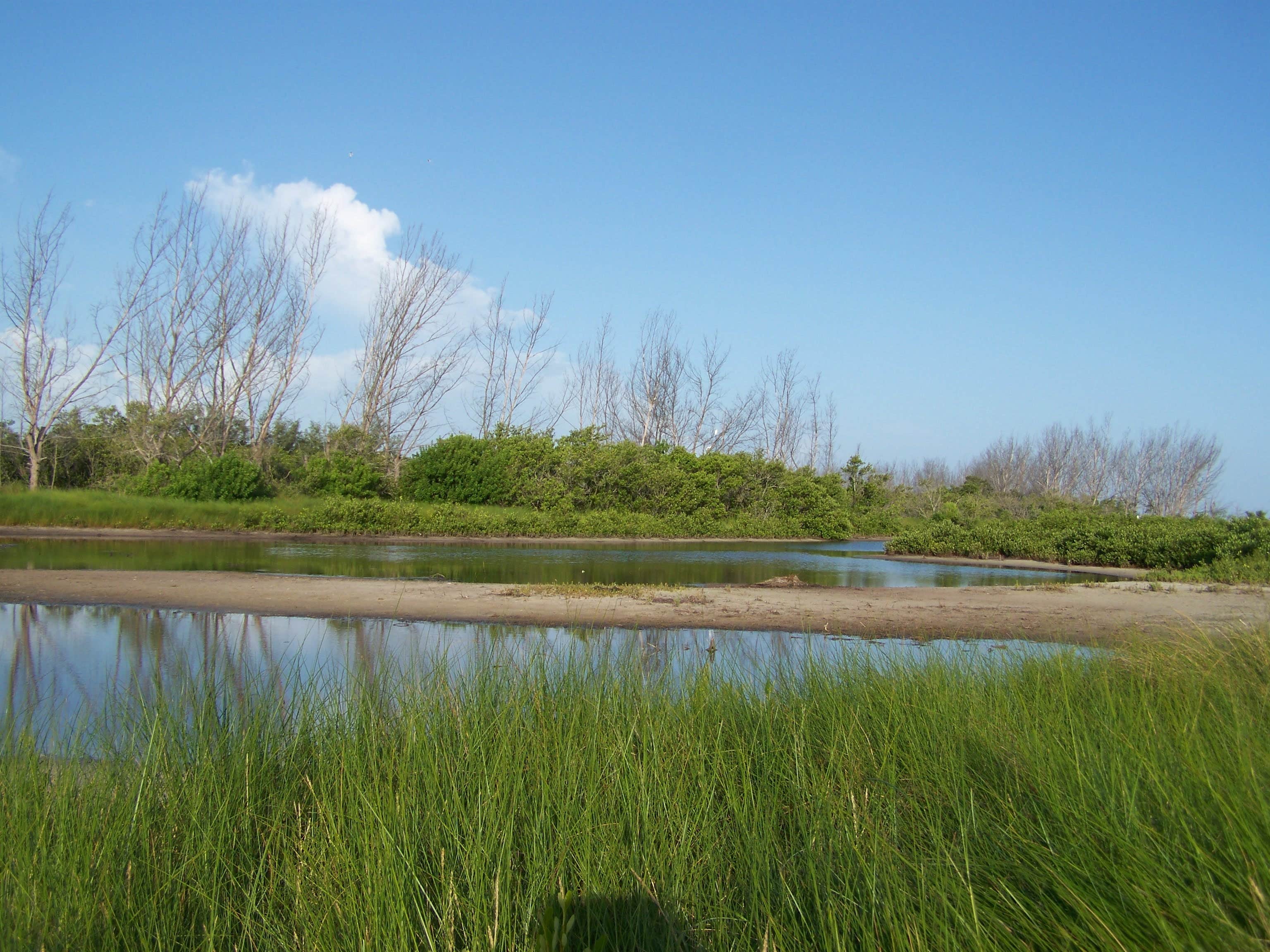 Camper submitted image from Anclote Key Preserve State Park Campground - 3