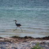 Review photo of Anclote Key Preserve State Park by Jeanene A., August 30, 2019