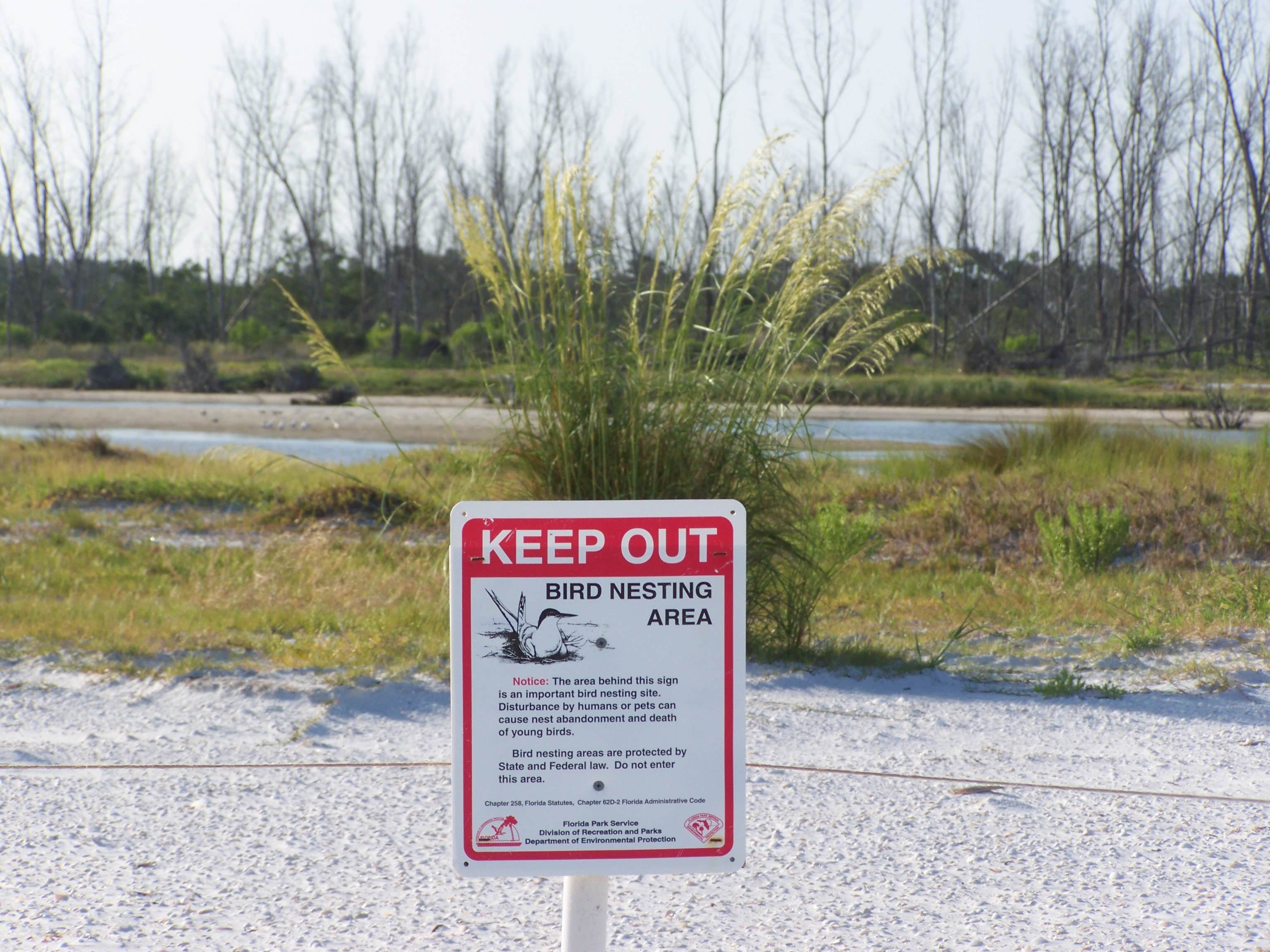 Camper submitted image from Anclote Key Preserve State Park Campground - 4