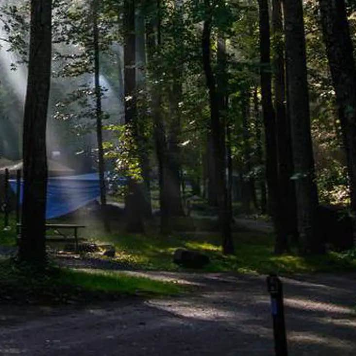 Abrams Creek Campground — Great Smoky Mountains National Park