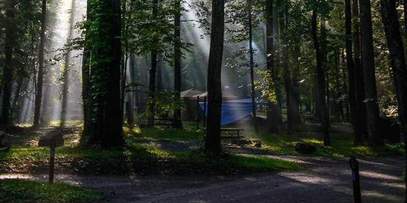 Camper submitted image from Abrams Creek Campground — Great Smoky Mountains National Park
