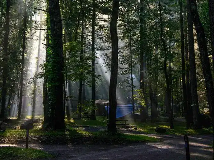 Camper-submitted photo at Abrams Creek Campground — Great Smoky Mountains National Park near Townsend, TN