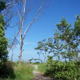 Review photo of Anclote Key Preserve State Park Campground by Jeanene A., August 30, 2019