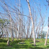 Review photo of Anclote Key Preserve State Park Campground by Jeanene A., August 30, 2019