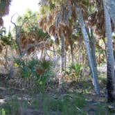 Review photo of Anclote Key Preserve State Park Campground by Jeanene A., August 30, 2019