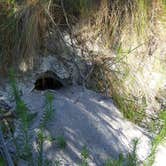 Review photo of Anclote Key Preserve State Park Campground by Jeanene A., August 30, 2019