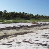 Review photo of Anclote Key Preserve State Park Campground by Jeanene A., August 30, 2019