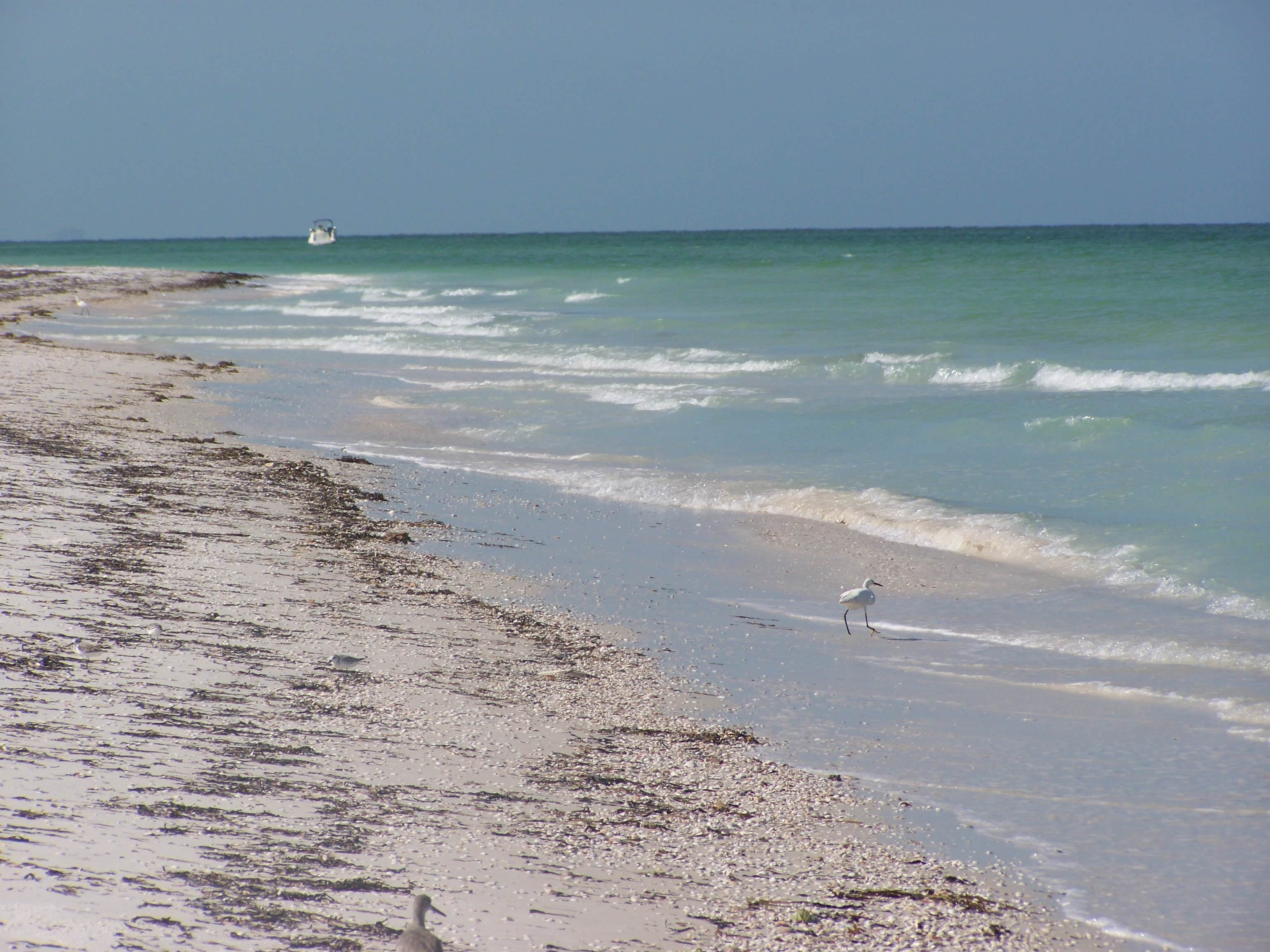 Camper-submitted photo at Anclote Key Preserve State Park Campground near Holiday, FL
