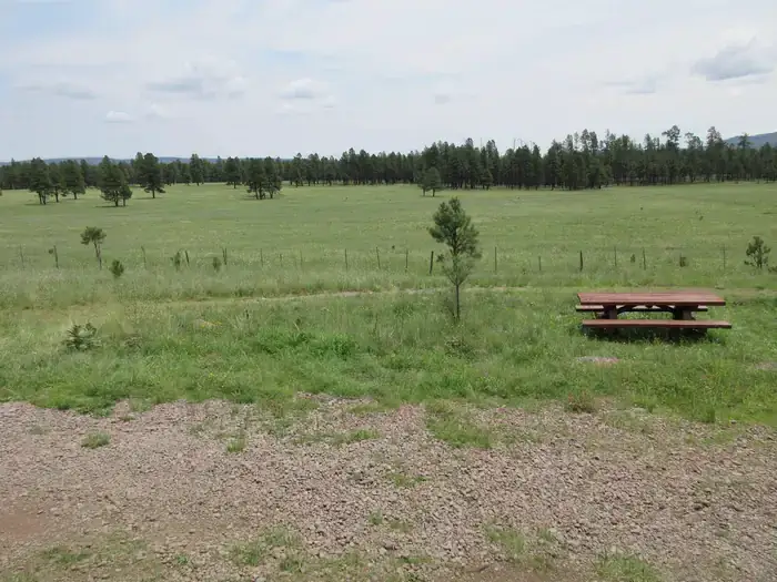 Camper-submitted photo at Caldwell Cabin near Glenwood, NM