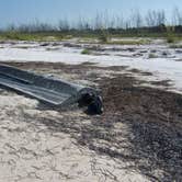 Review photo of Anclote Key Preserve State Park Campground by Jeanene A., August 30, 2019