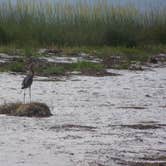 Review photo of Anclote Key Preserve State Park Campground by Jeanene A., August 30, 2019