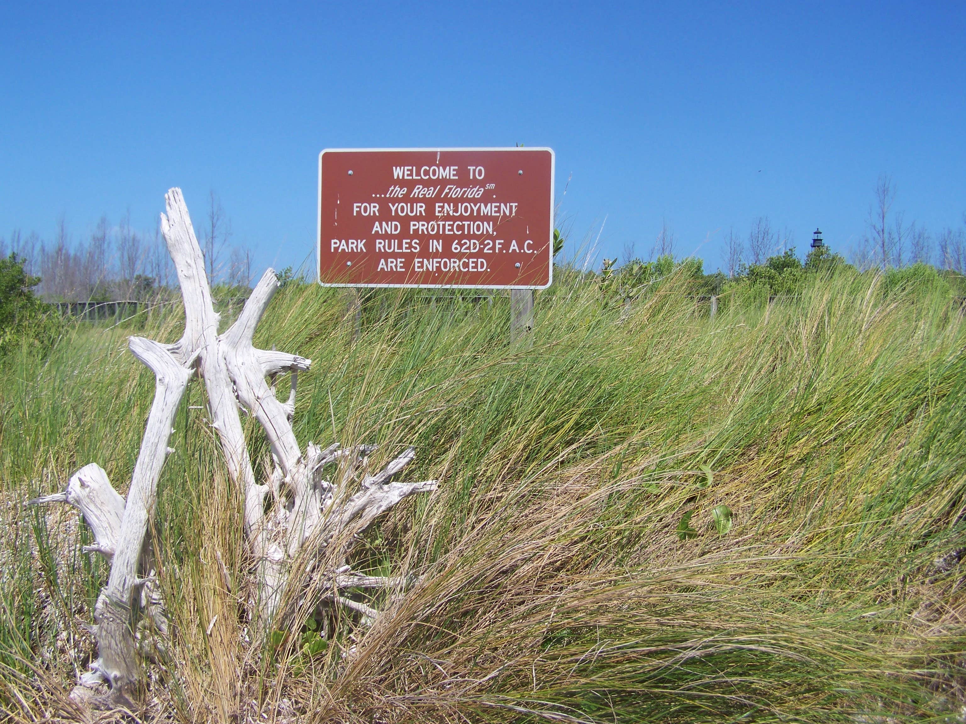 Camper-submitted photo at Anclote Key Preserve State Park Campground near Tampa, FL