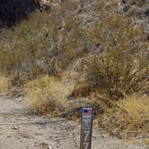 Review photo of Old Kingman Highway Dispersed Camping near Bullhead City by Chris B., August 31, 2019