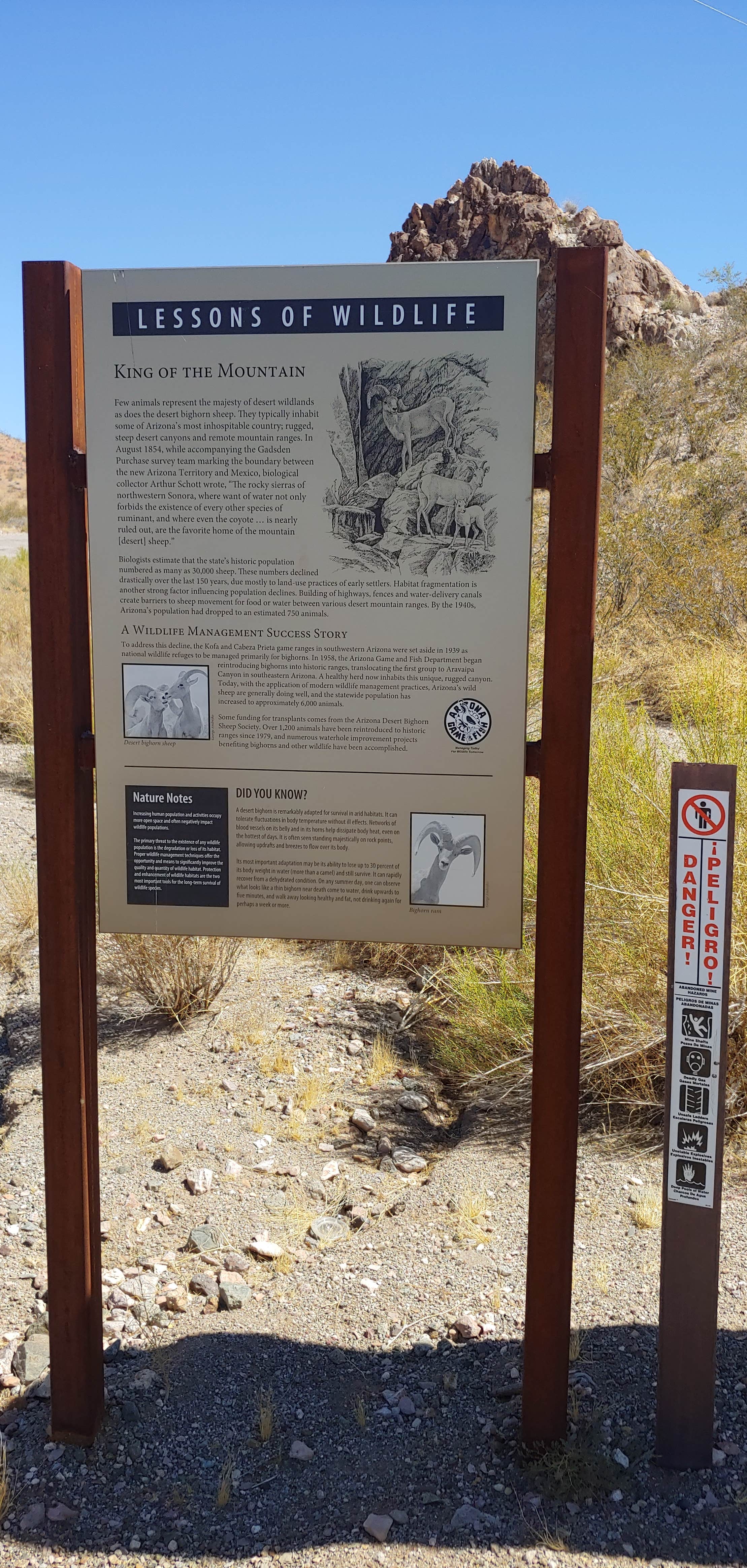 Camper-submitted photo at Old Kingman Highway Dispersed Camping near Bullhead City near Kingman, AZ