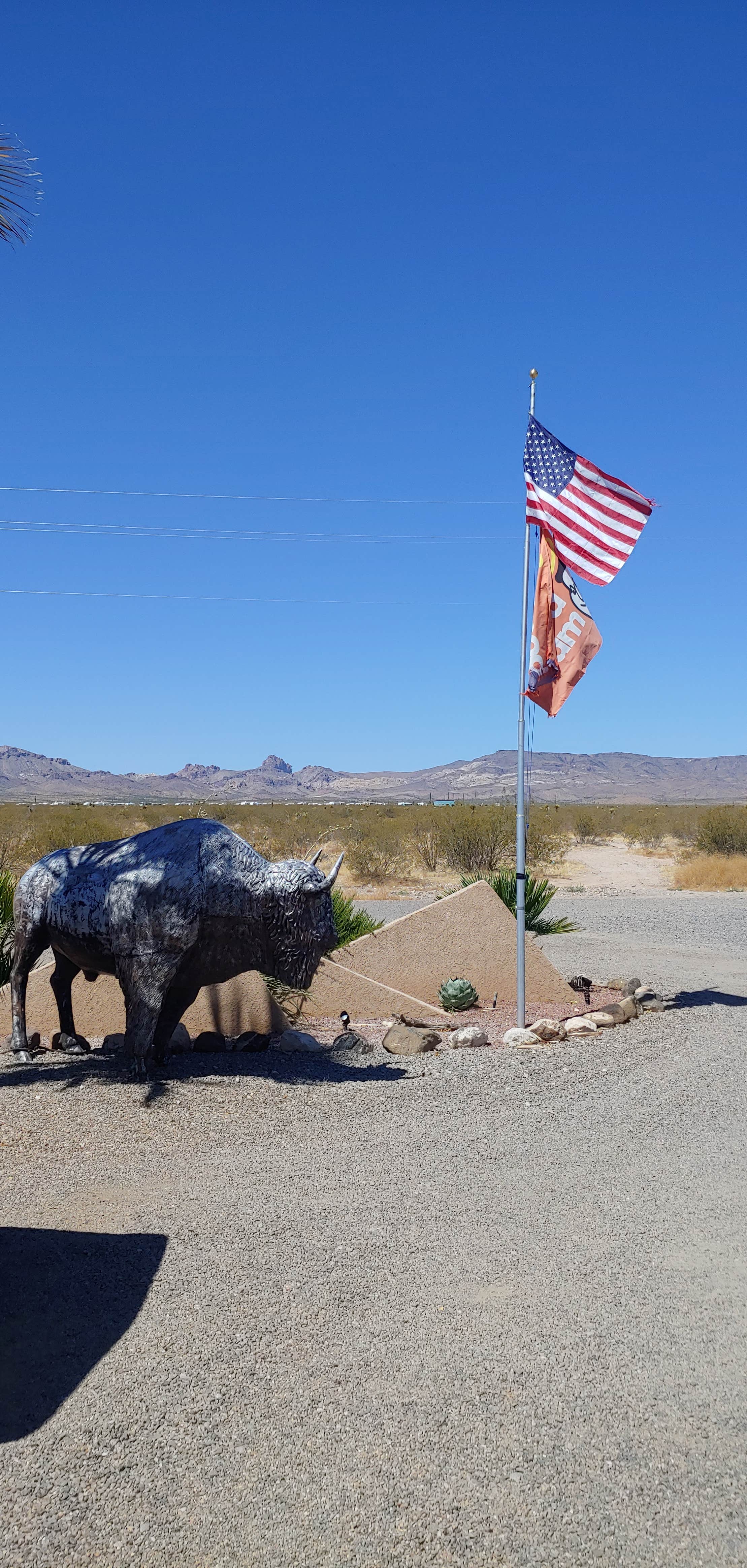 Camper-submitted photo at Tradewinds RV Park near Yucca, AZ