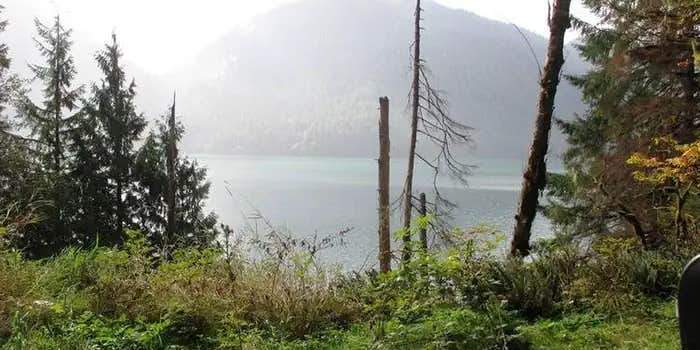 Camper submitted image from Shannon Creek Campground