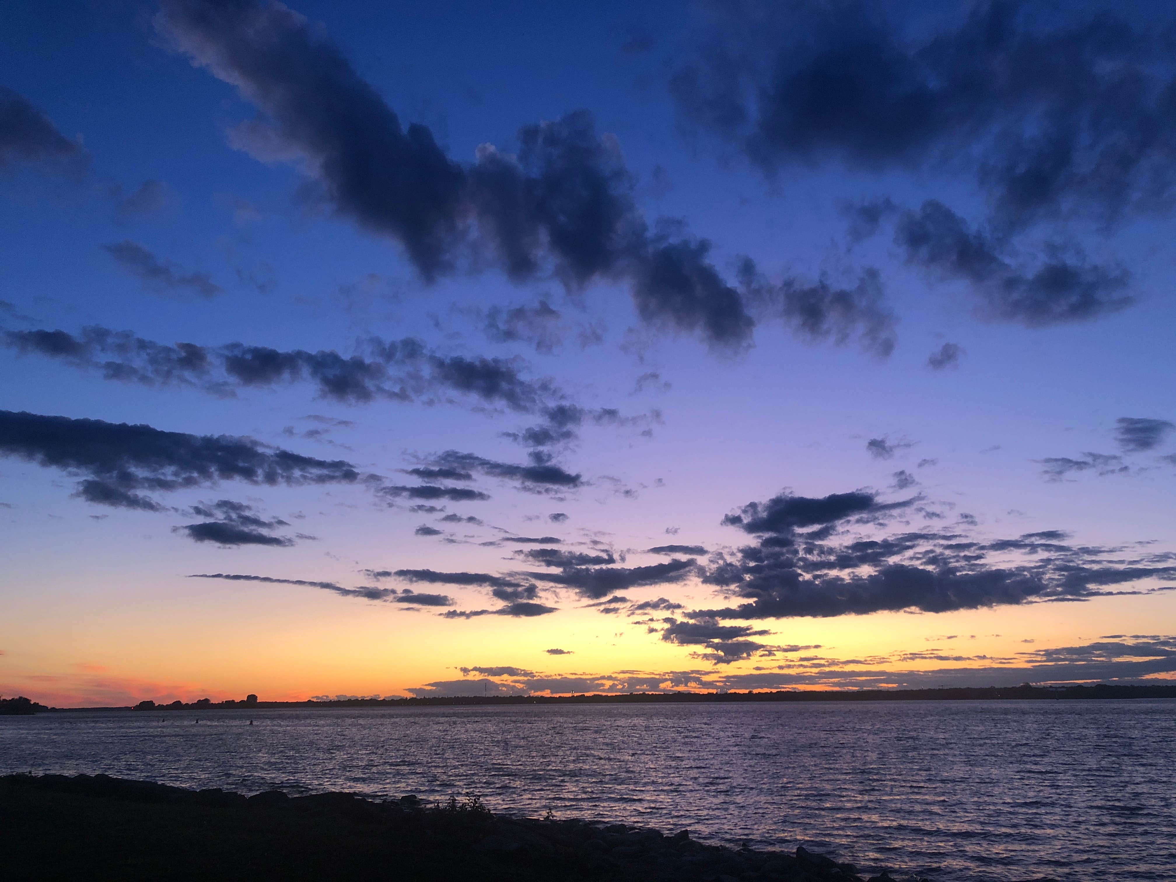 View All