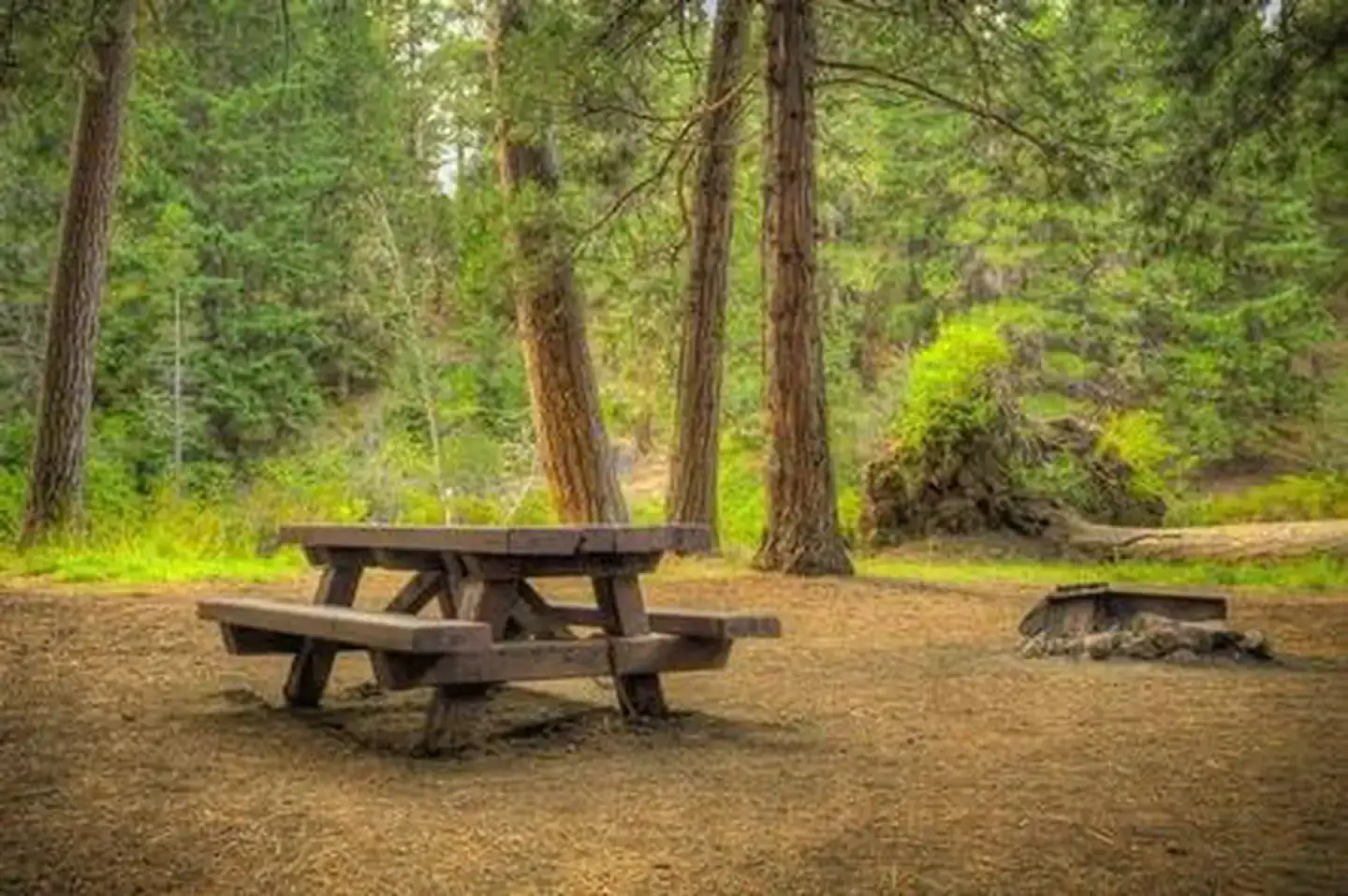 Camping near Perry South Campground: Lower Bridge Campground, Camp Sherman, Oregon
