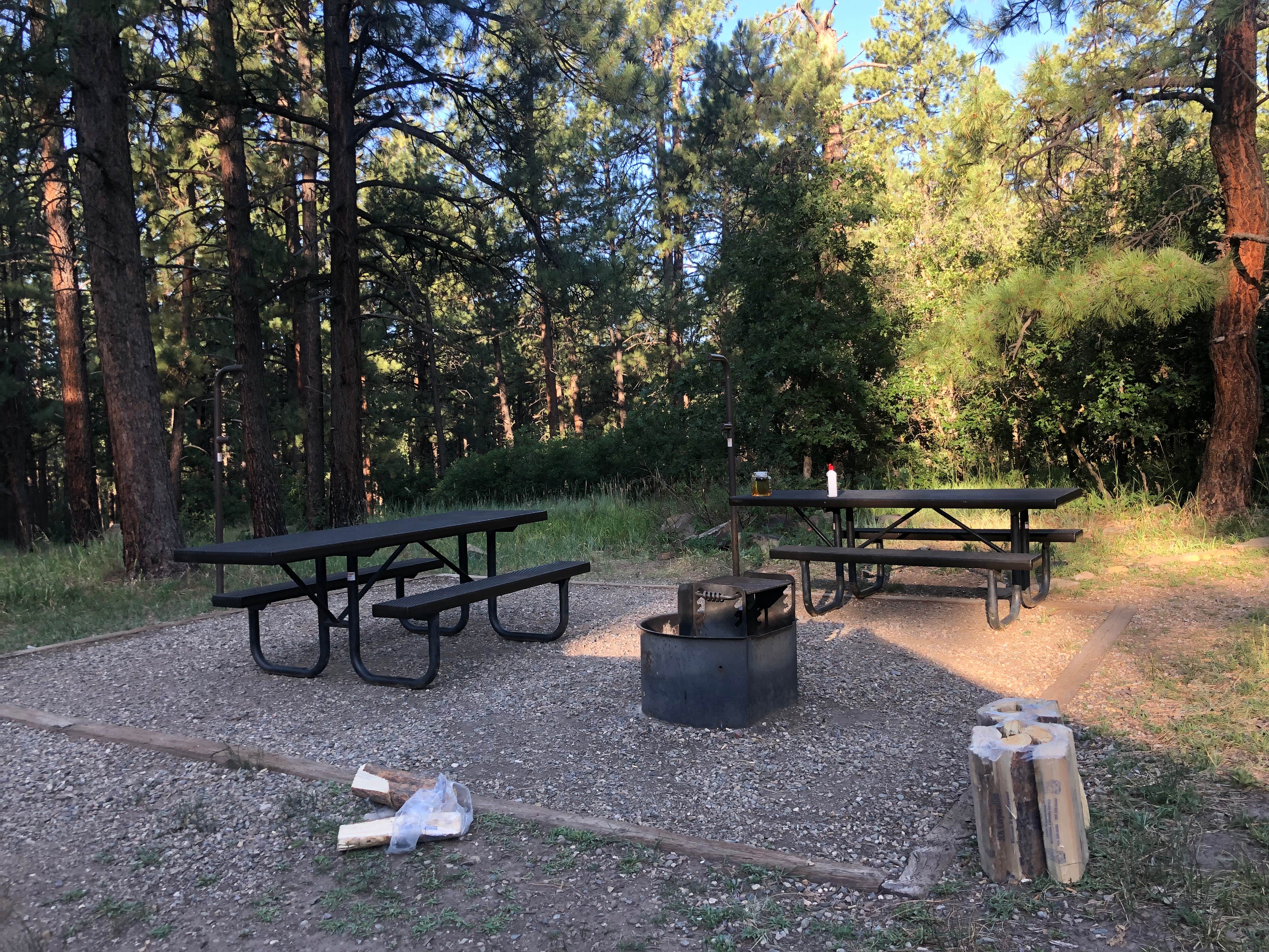 Camper submitted image from Junction Creek Campground - 4