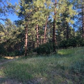 Review photo of Junction Creek Campground by canyongirl100  , August 31, 2019