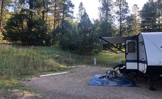 canyongirl100's photo at Junction Creek Campground near San Juan National Forest