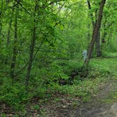 Review photo of Blue Mound State Park Campground by Mary T., August 31, 2019