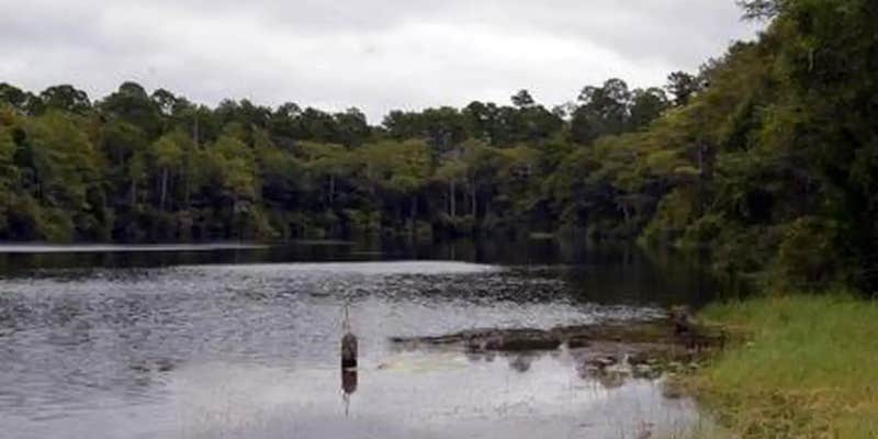 Camper submitted image from Wright Lake Campground