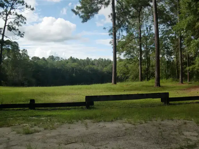 Camper-submitted photo at Wright Lake Campground near Sumatra, FL
