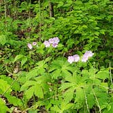 Review photo of Blue Mound State Park Campground by Mary T., August 31, 2019