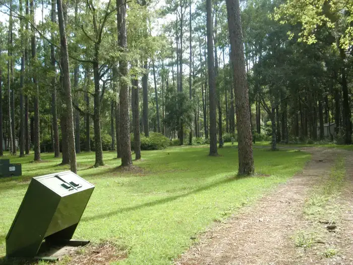Camper-submitted photo at Wright Lake Campground near Sumatra, FL