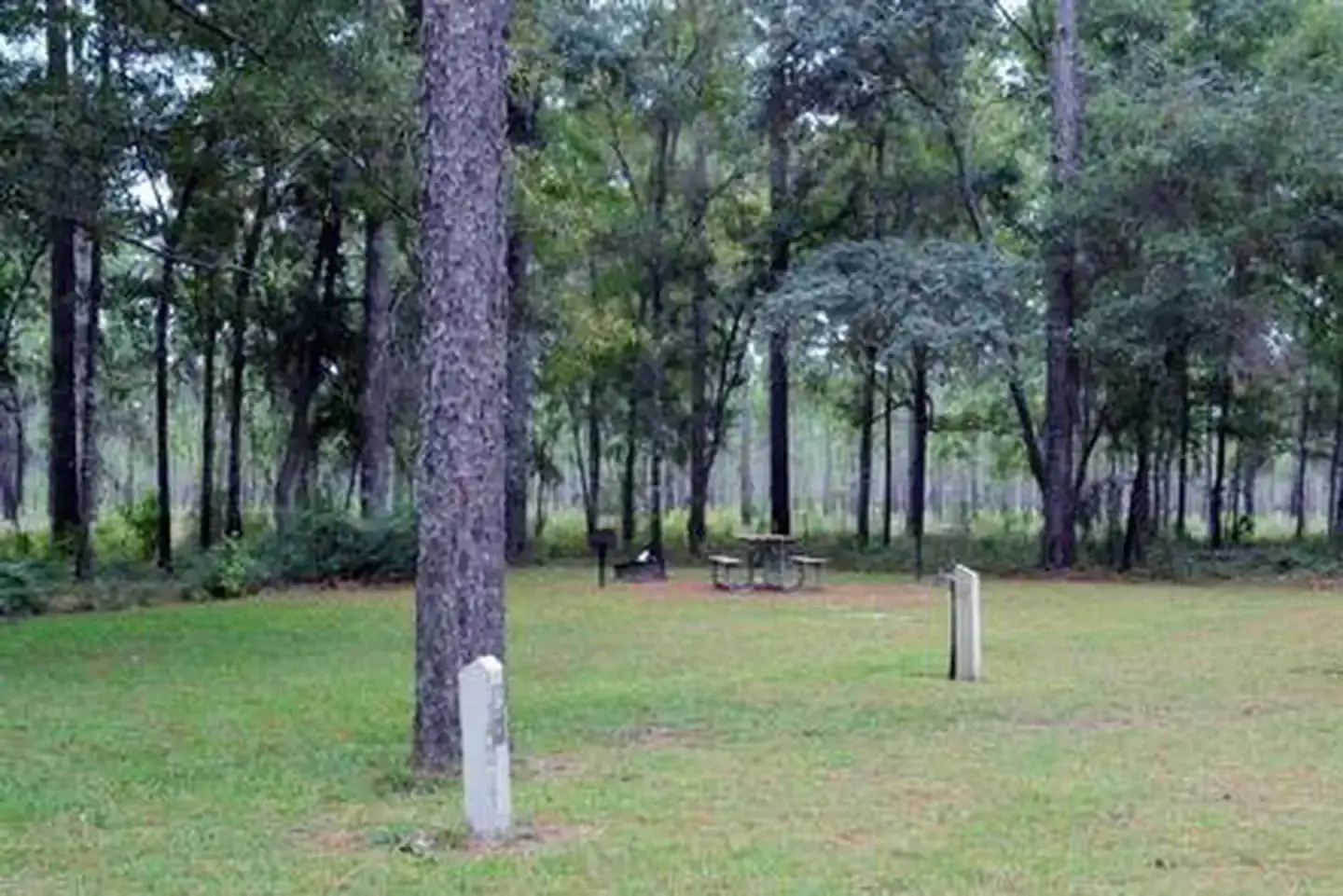 Camper-submitted photo at Wright Lake Campground near Sumatra, FL