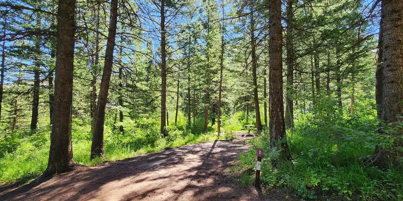 Camper submitted image from Scout Mountain Campground