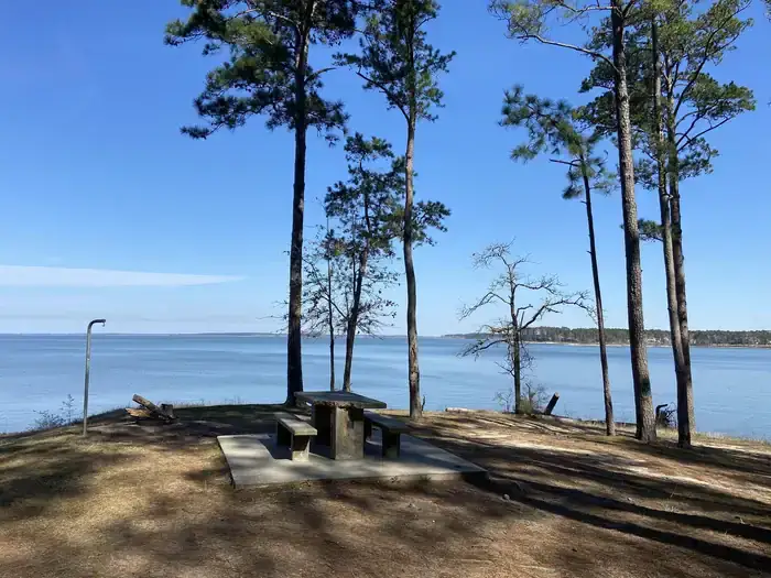 Camper-submitted photo at COE Sam Rayburn Reservoir Twin Dikes Park near Pineland, TX