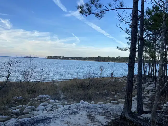 Camper-submitted photo at COE Sam Rayburn Reservoir Twin Dikes Park near Pineland, TX