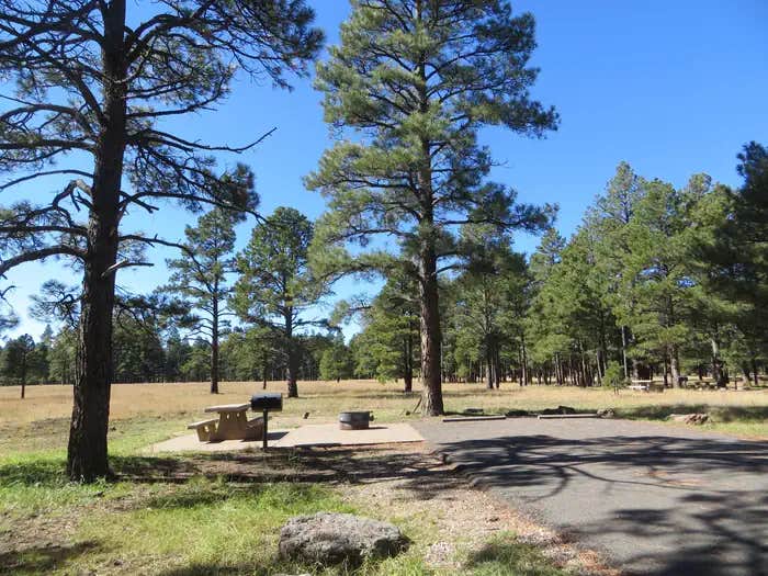 Camper submitted image from Pinegrove Campground - 1