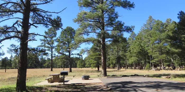 Camper submitted image from Pinegrove Campground