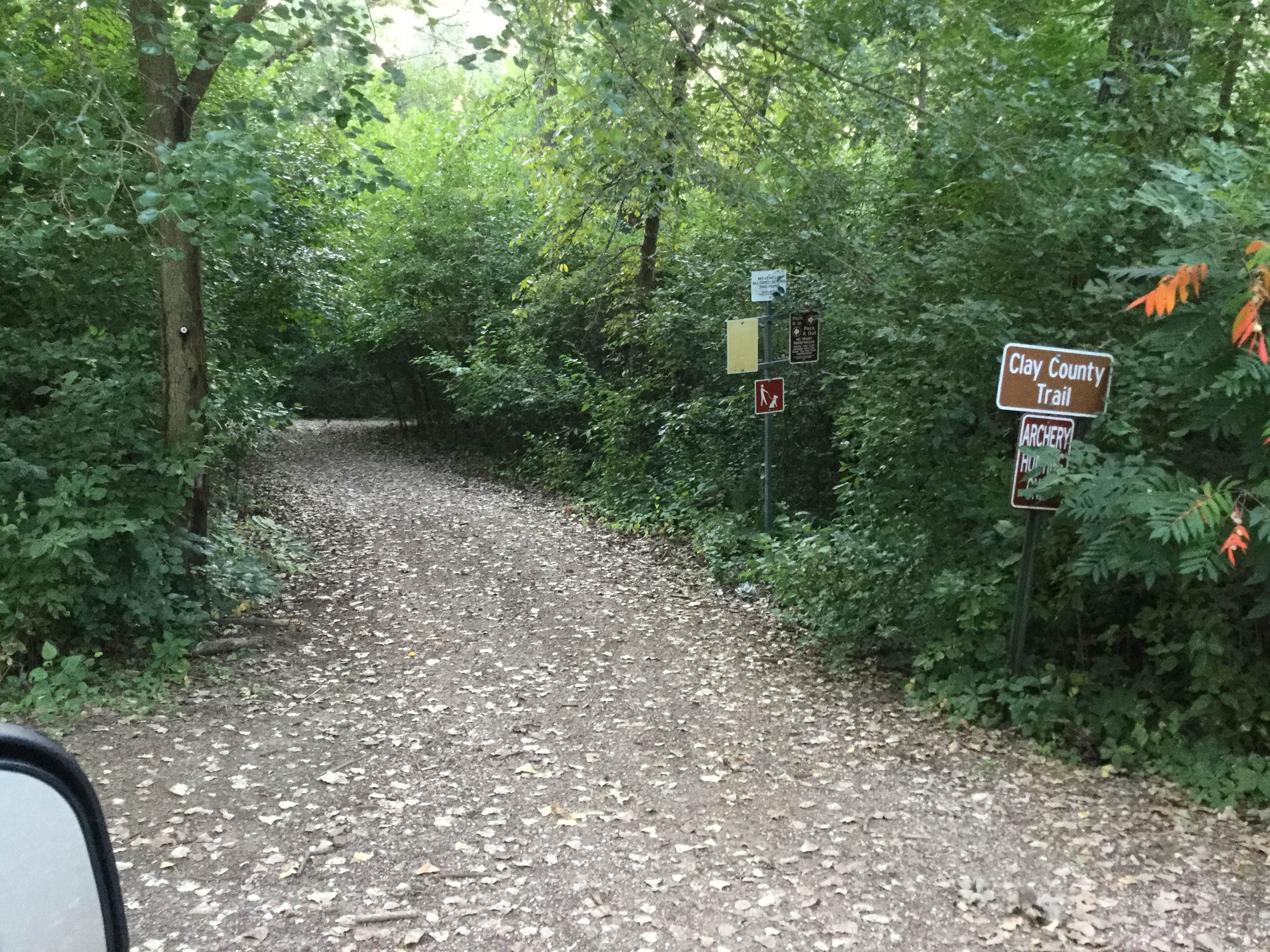 Camper submitted image from Clay County Park — Clay County - 3