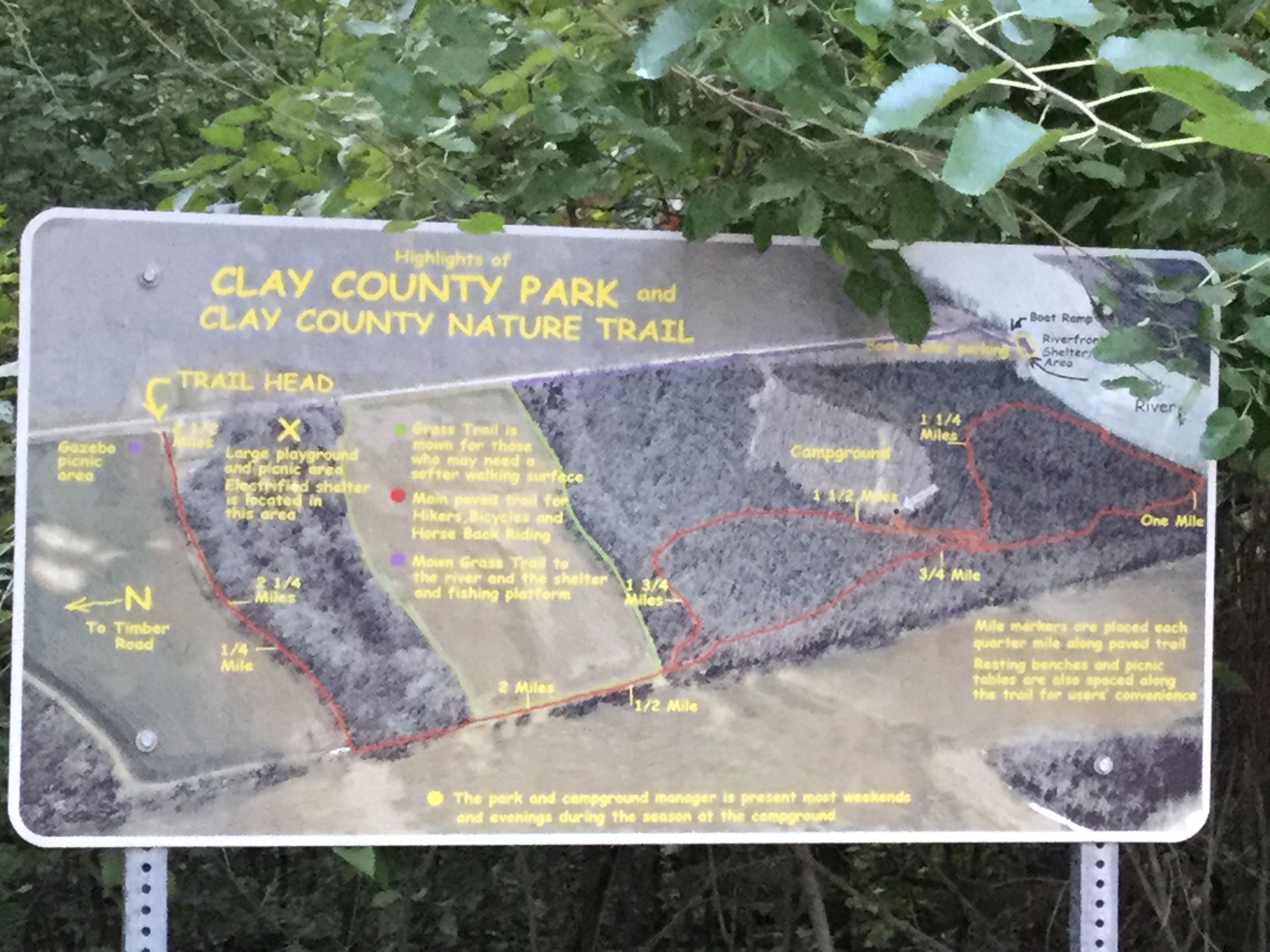 Camper submitted image from Clay County Park — Clay County - 2