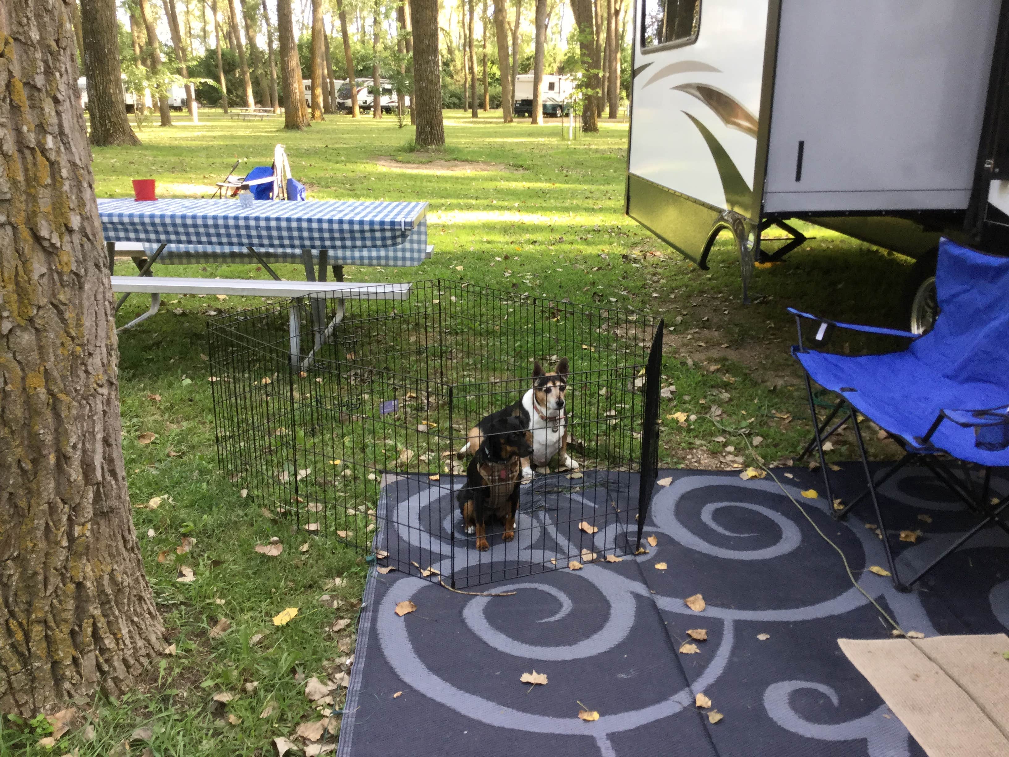 Shannon G.'s photo of camping with pets at Clay County Park — Clay County near Sioux City, IA