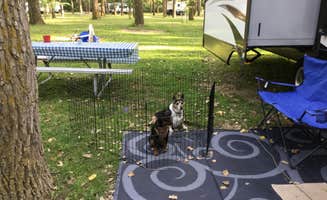 Shannon G.'s photo of camping with pets at Clay County Park — Clay County near Rock Valley, IA